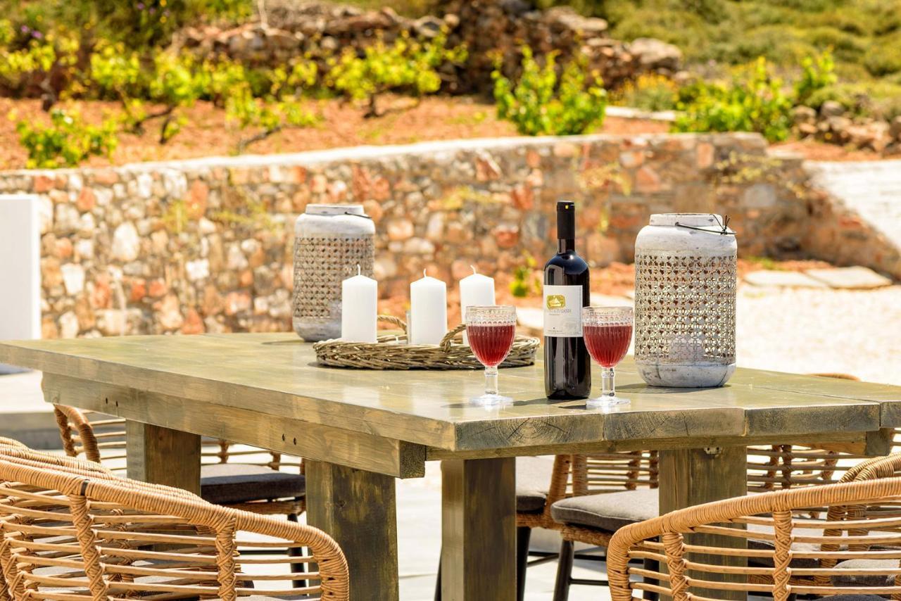 Paros Villa Blue Senses Alikí Zewnętrze zdjęcie