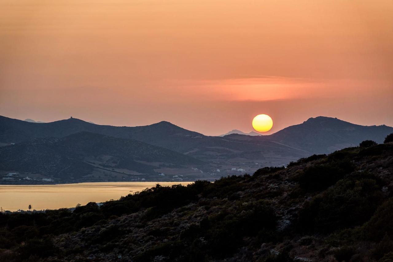 Paros Villa Blue Senses Alikí Zewnętrze zdjęcie
