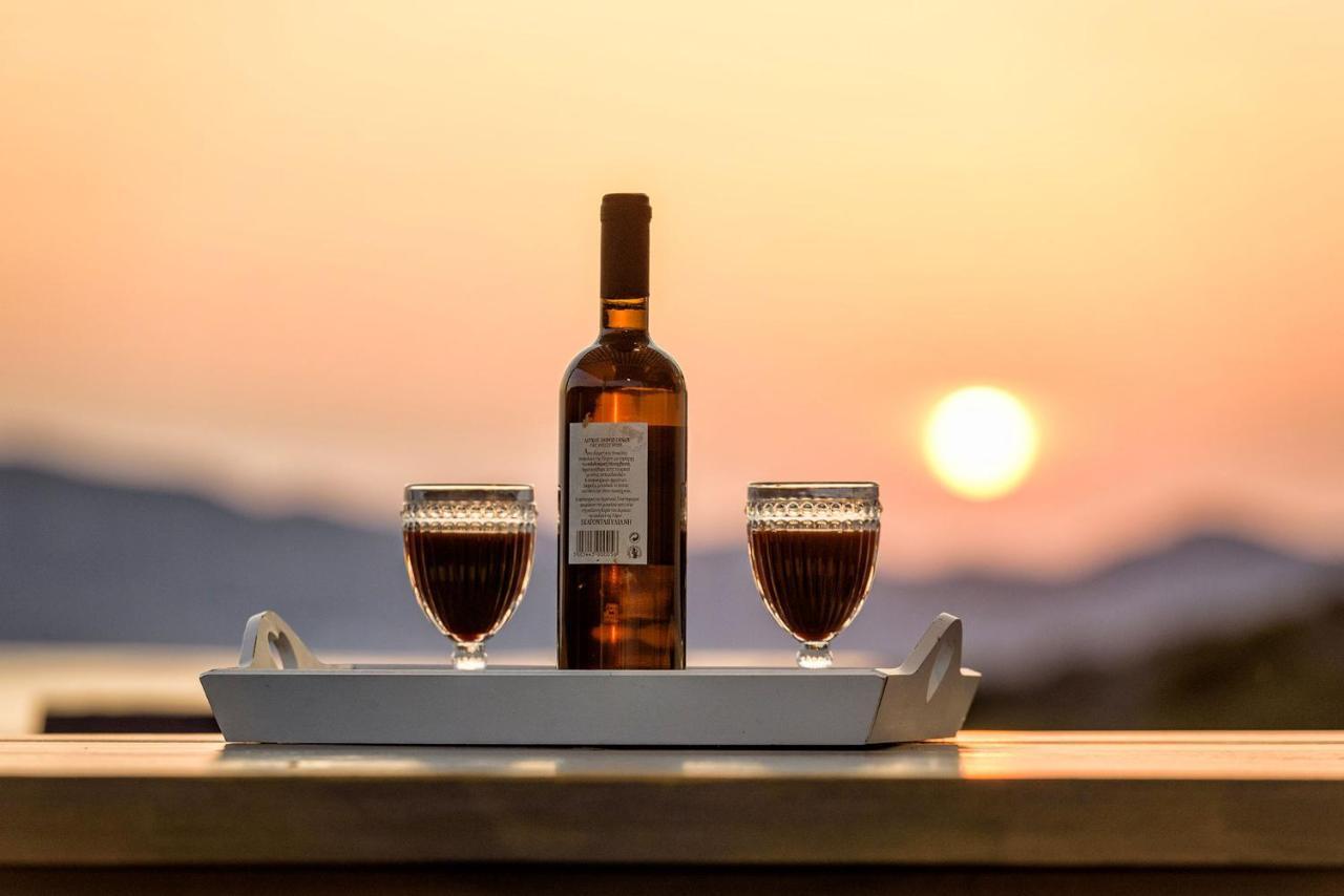 Paros Villa Blue Senses Alikí Zewnętrze zdjęcie